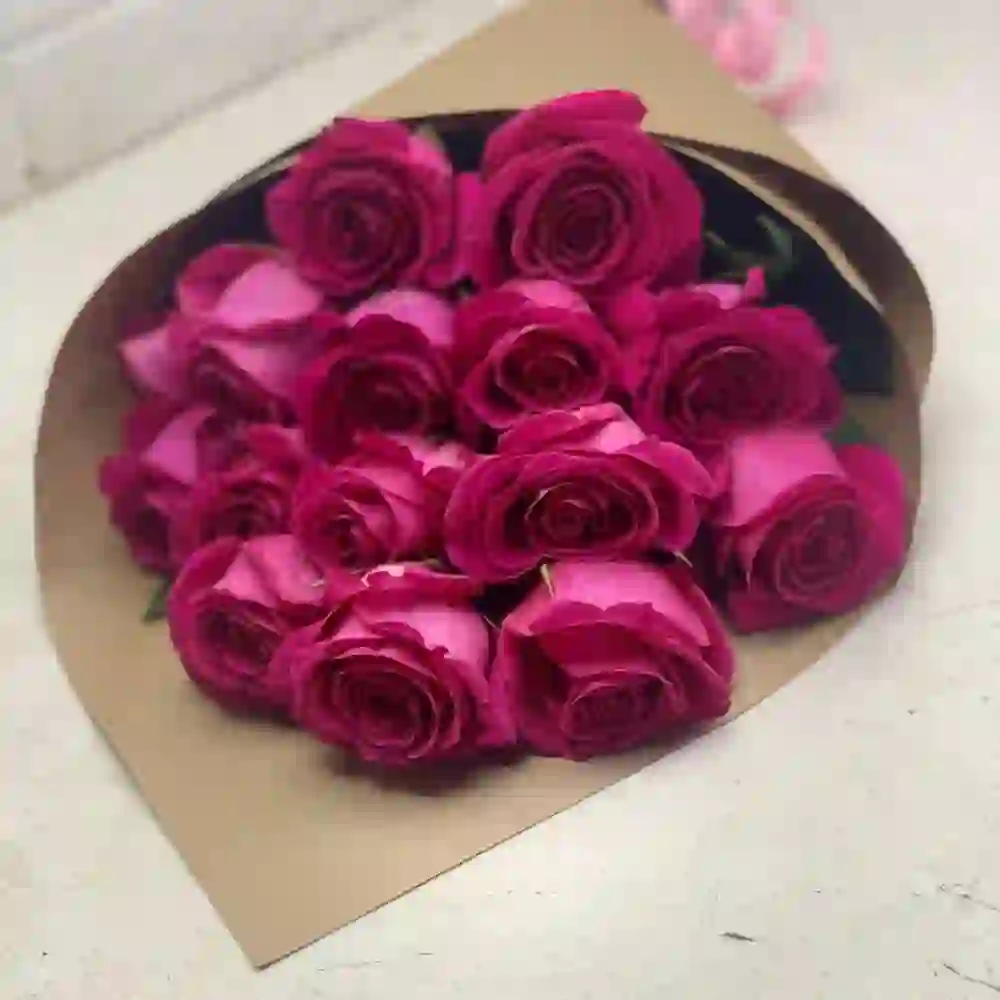 Çəhrayı holland rozası