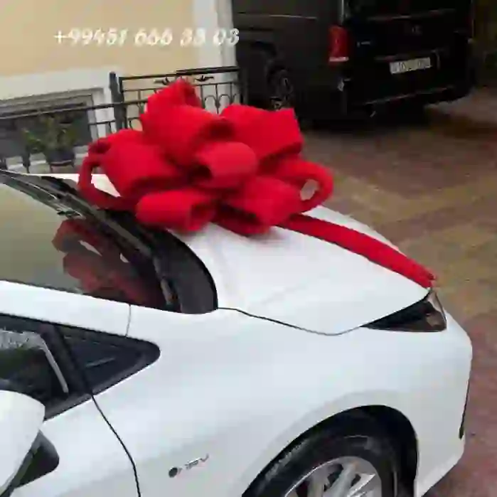 Bantik hədiyə üçün