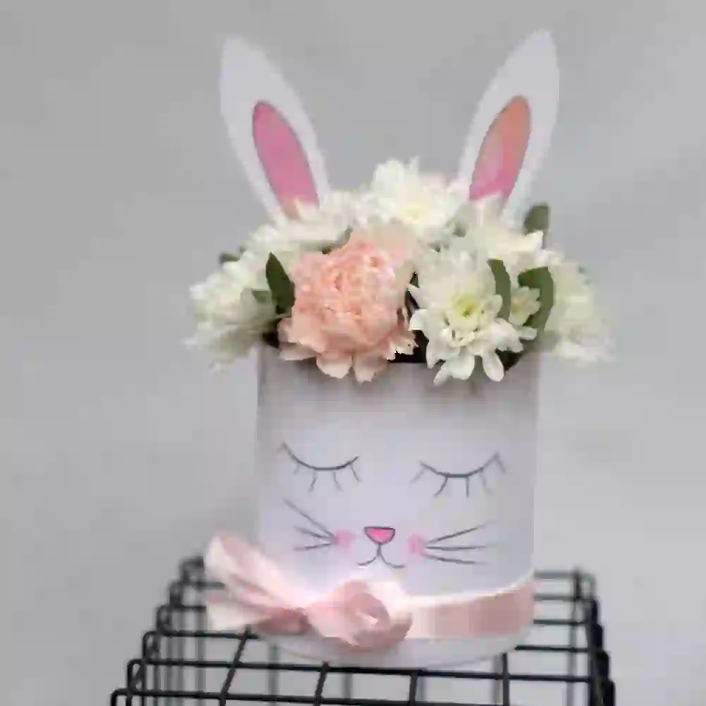 "Cat" box