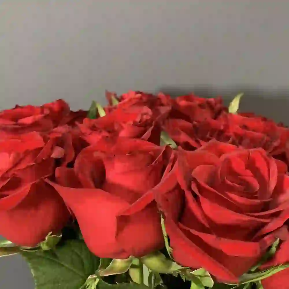 15 ədəd qırmızı qızılgül