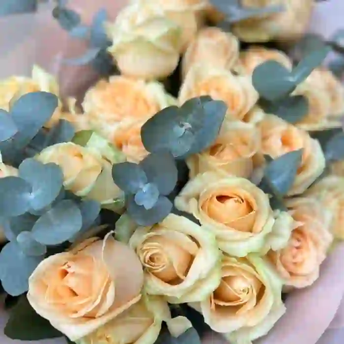 Roza buketi 25 ədəd