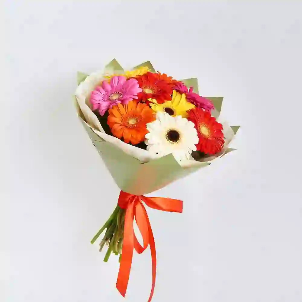Gerbera