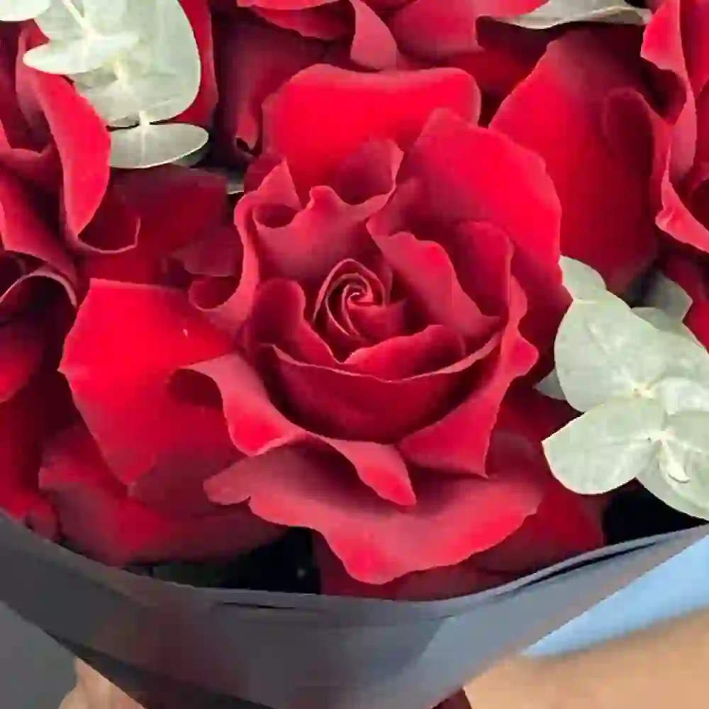 Qırmızı roza 7 ədəd
