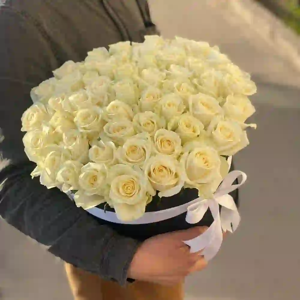 51 ağ roza qara qutuda