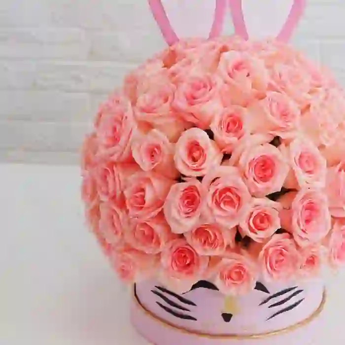 Sweet  box