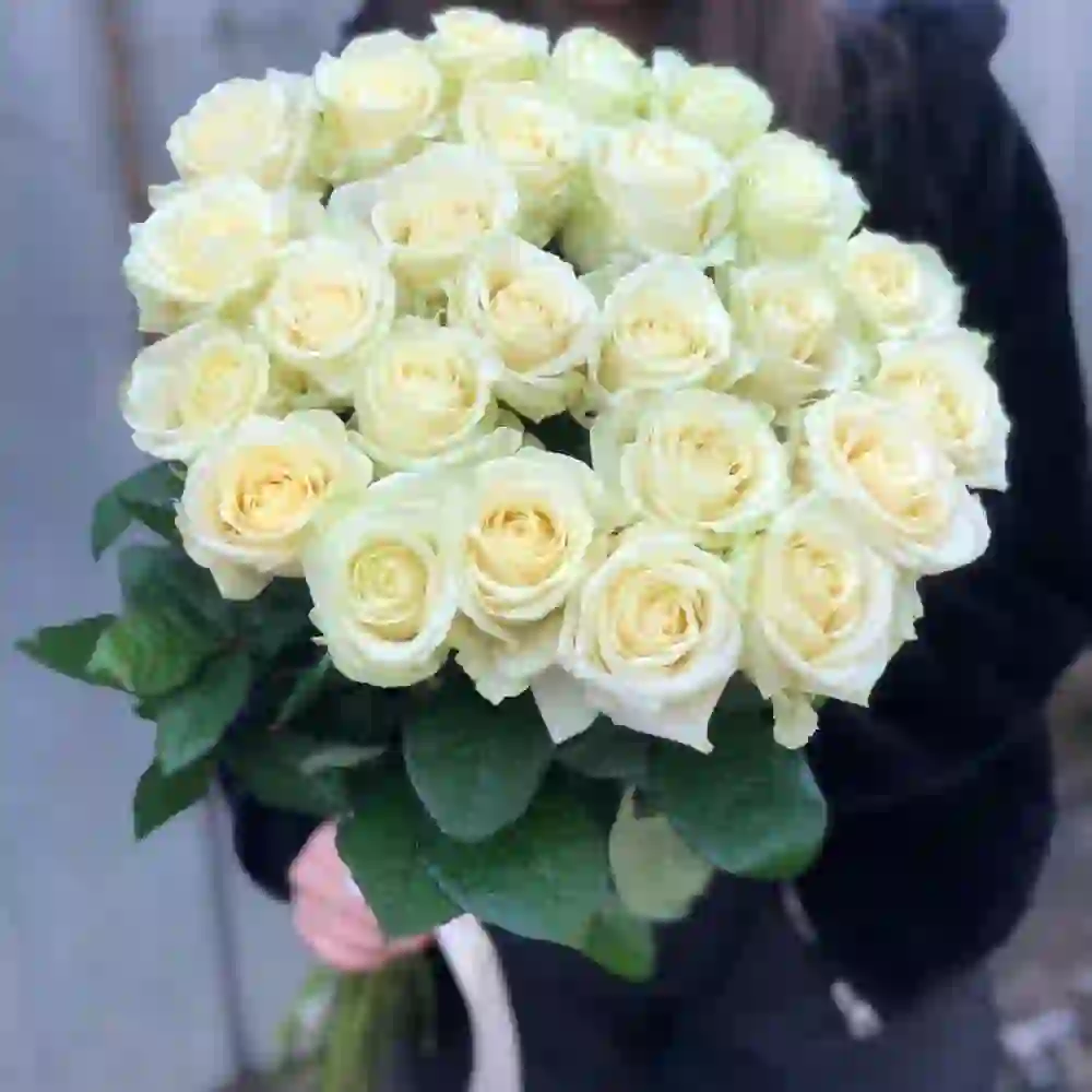 Ağ roza 25 ədəd